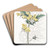 Ambrosia-leaved Loasa by Sydenham Edwards Art Drink Coaster set Ambrosia-leaved Loasa by Sydenham Edwards Art Drink Coaster set