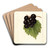 Vitis: Smiths Improved by Deborah Griscom Passmore Art Drink Coaster set