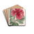 Hibiscus Cameroni-fulgens by Sydenham Edwards Drink Coasters - set of 4