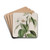 Weak-branched Syringa by Sydenham Edwards Drink Coasters - set of 4 Weak-branched Syringa by Sydenham Edwards Drink Coasters - set of 4