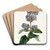 Lady Josika's Lilac by Sydenham Edwards Art Drink Coaster set