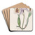 Mrs. Moss's Cattleya by Sydenham Edwards Art Drink Coaster set