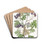 Blood-leaved Thorn by Sydenham Edwards Drink Coasters - set of 4