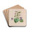 Sweet Scented Violet by John Stevens Henslow Drink Coasters - set of 4 Sweet Scented Violet by John Stevens Henslow Drink Coasters - set of 4