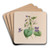 Sweet Scented Violet by John Stevens Henslow Art Drink Coaster set Sweet Scented Violet by John Stevens Henslow Art Drink Coaster set