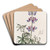 Branching Lupine by Sydenham Edwards Art Drink Coaster set