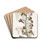 Dingy Monk-flower by Sydenham Edwards Drink Coasters - set of 4 Dingy Monk-flower by Sydenham Edwards Drink Coasters - set of 4