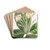 Cloth-leaved Gardenia by Sydenham Edwards Drink Coasters - set of 4