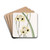 Two-coloured Iris by Sydenham Edwards Drink Coasters - set of 4
