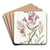 Various-leaved Pentstemon by Sydenham Edwards Art Drink Coaster set