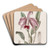 Bordered Dwarf Cattleya by Sydenham Edwards Art Drink Coaster set Bordered Dwarf Cattleya by Sydenham Edwards Art Drink Coaster set