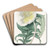 White Upright Evening Primrose by Sydenham Edwards Art Drink Coaster set