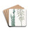 Villous-leaved Drimia by Sydenham Edwards Drink Coasters - set of 4