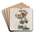 Various-leaved Chorozema by Sydenham Edwards Art Drink Coaster set Various-leaved Chorozema by Sydenham Edwards Art Drink Coaster set