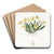 Pigmy Oncidium by Sydenham Edwards Art Drink Coaster set
