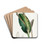 Lizard-headed Pleurothallis by Sydenham Edwards Drink Coasters - set of 4 Lizard-headed Pleurothallis by Sydenham Edwards Drink Coasters - set of 4