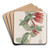 Long-flowered Macleania by Sydenham Edwards Art Drink Coaster set