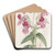 Glandular Balsam by Sydenham Edwards Art Drink Coaster set
