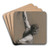 Study forScience by Edwin Austin Abbey Art Drink Coaster set