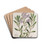 Thick-leaved Pentstemon by Sydenham Edwards Drink Coasters - set of 4