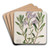 Thick-leaved Pentstemon by Sydenham Edwards Art Drink Coaster set