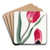 The Early Sun's Eye Tulip by Sydenham Edwards Art Drink Coaster set