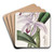 Mr. Perrin's Cattleya by Sydenham Edwards Art Drink Coaster set