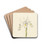 Witte iris by Pieter Withoos Drink Coasters - set of 4 Witte iris by Pieter Withoos Drink Coasters - set of 4