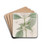 Flesh-coloured Pentas by Sydenham Edwards Drink Coasters - set of 4