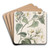 The White-cluster Ipomaea by Sydenham Edwards Art Drink Coaster set