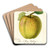 Malus domestica: Maye by William Henry Prestele Art Drink Coaster set Malus domestica: Maye by William Henry Prestele Art Drink Coaster set