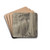 White pines, Hutt Forest by William Swainson Drink Coasters - set of 4