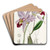 Two-edged Laelia by Sydenham Edwards Art Drink Coaster set