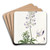 River Lupine by Sydenham Edwards Art Drink Coaster set