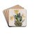 Captain Jenkins's Dendrobium by Sydenham Edwards Drink Coasters - set of 4