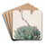 One-sided Echeveria by Sydenham Edwards Art Drink Coaster set