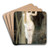 The Sorceress by Charles Gleyre Art Drink Coaster set
