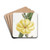 Large-flowered biennial Evening Primrose by Sydenham Edwards Drink Coasters - set of 4