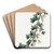 Intoxicating Red Currant by Sydenham Edwards Art Drink Coaster set