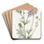 Three-coloured Gilia by Sydenham Edwards Art Drink Coaster set