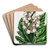 Parsnip-leaved Begonia by Sydenham Edwards Art Drink Coaster set Parsnip-leaved Begonia by Sydenham Edwards Art Drink Coaster set