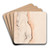 Venus. Antique statue seen from the right by Willem Panneels Art Drink Coaster set