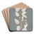 Bltenzweig (Wald-Geissblatt) by Philipp Otto Runge Art Drink Coaster set