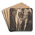Temptation of Adam by James Barry Art Drink Coaster set Temptation of Adam by James Barry Art Drink Coaster set