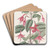 Standish's Fuchsia by Sydenham Edwards Art Drink Coaster set