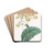 Mr. W. Herbert's Calceolaria by Sydenham Edwards Drink Coasters - set of 4