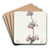 Bladdery Stachys by Sydenham Edwards Art Drink Coaster set