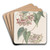 Large-flowered Philibertia by Sydenham Edwards Art Drink Coaster set