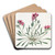 Shewy Calandrinia by Sydenham Edwards Art Drink Coaster set