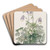 Slender-horned Columbine by Sydenham Edwards Art Drink Coaster set